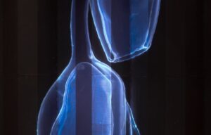 Close up af siphonophore fra Vertical Migration ved BLOX